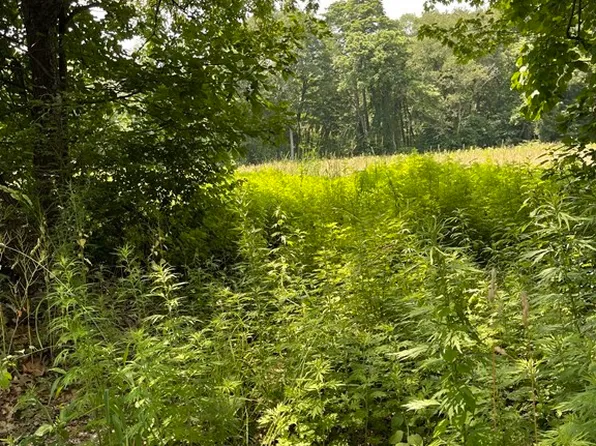 LOT 200 Three Pine St, Rehoboth, MA 02769