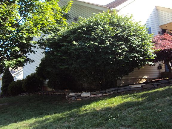 5th image of 404 Lily Ct #1