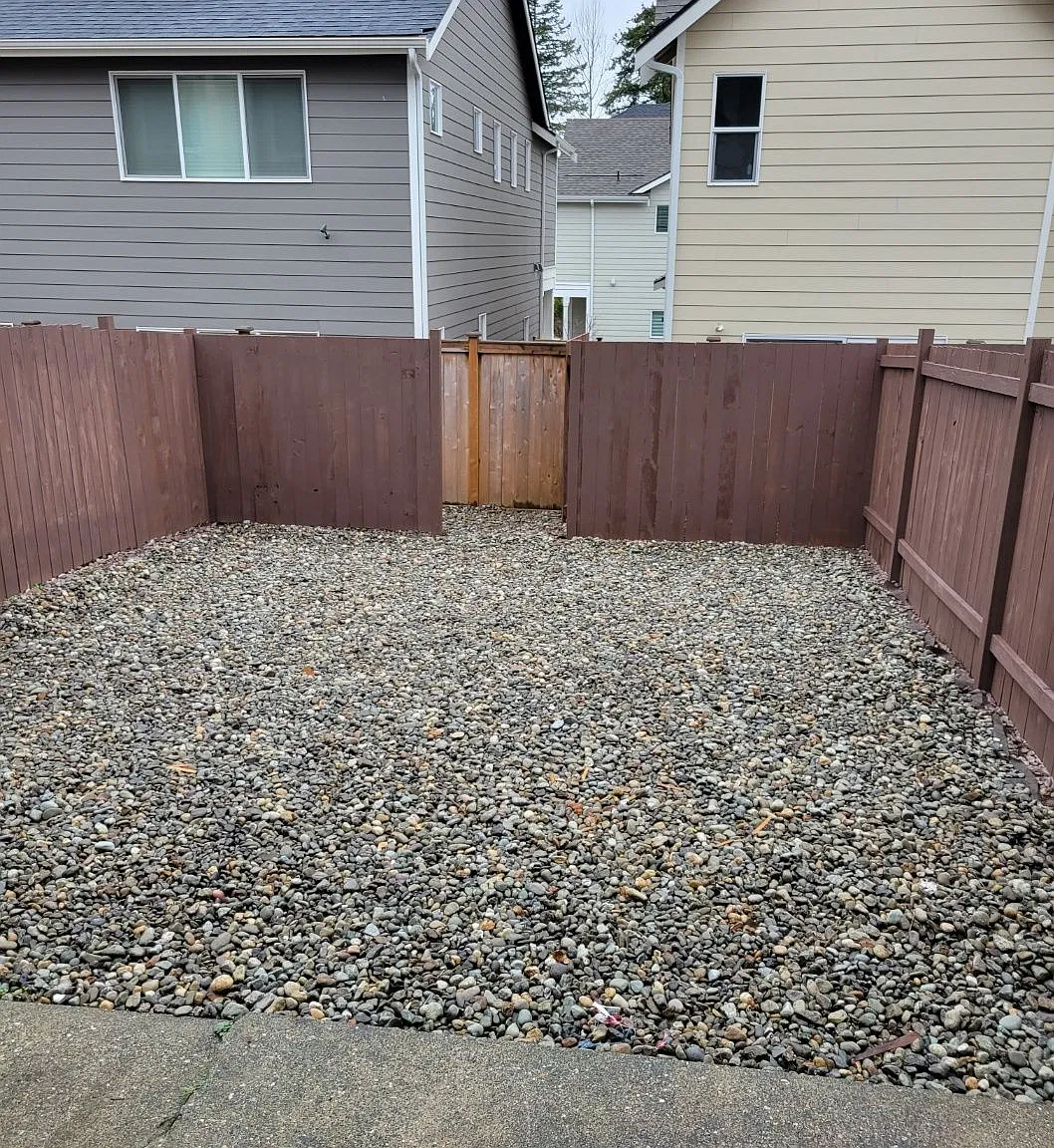 2 bed, 1.0 bath, 902 sqft, $2,000 — Photo 4
