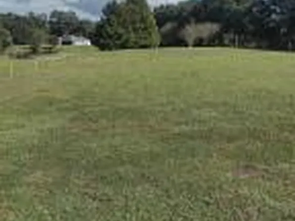 517 Dowling Cir, Lady Lake, FL 32159