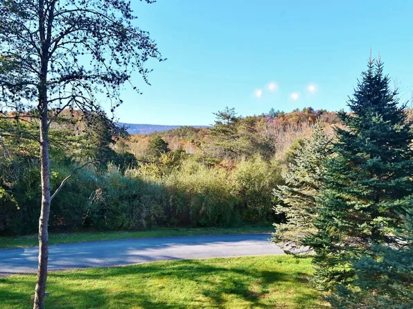 997 Quail Rd, Basye, VA 22810