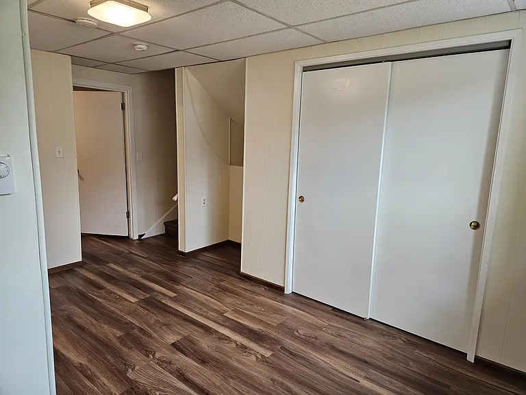 basement bonus room with closet looking SE