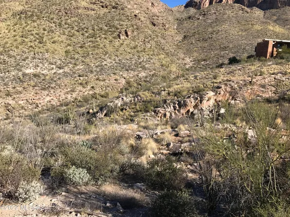 7490 N Catalina Ridge Dr, Tucson, AZ 85718