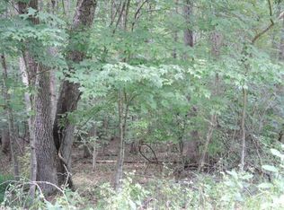 Deer Run Ests, Frametown, WV 26623