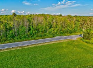 0 Lewis Point Rd #55, Canastota, NY 13032