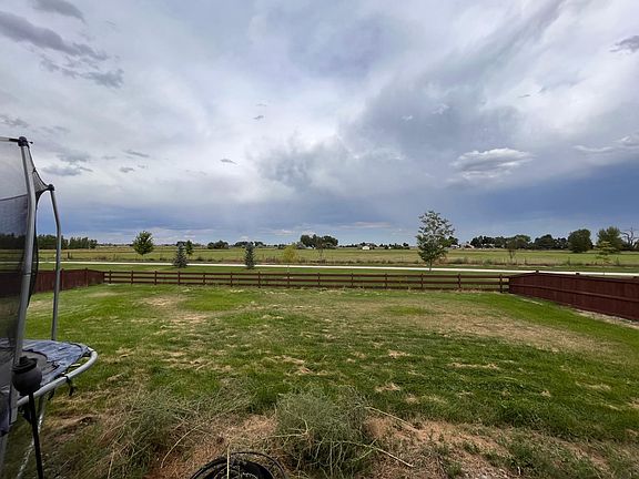 Backyard (1/4 acre lot)