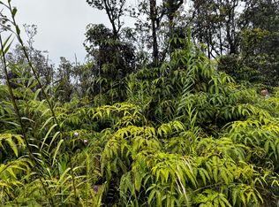Kaleponi Rd LOT 50, Volcano, HI 96785