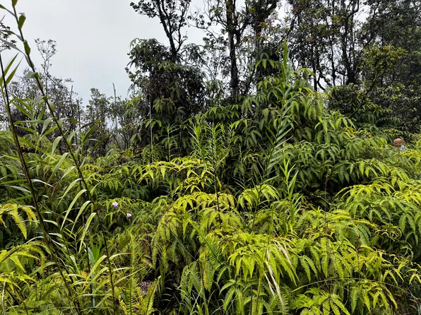 Kaleponi Rd Lot 50, Volcano, HI 96785