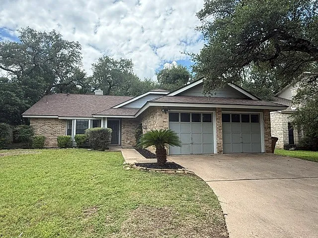 11812 Rain Forest Cv