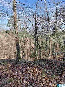 5978 S Shades Crest Rd, Bessemer, AL, 35022