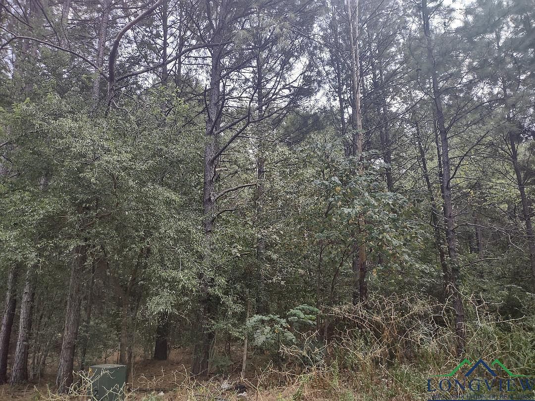 Private Rd, Daingerfield, TX 75638 MLS 20235174 Zillow