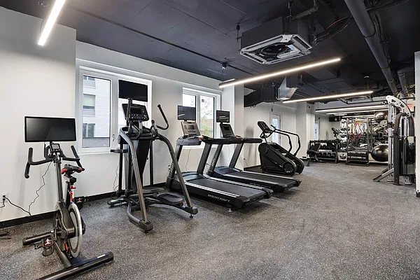 Rented by Marquis Real Estate Services | media 14