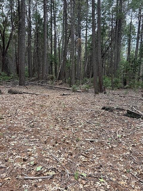 1st image of Bearfoot Rd