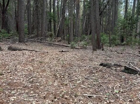 Bearfoot Rd, Georgetown, CA 95634