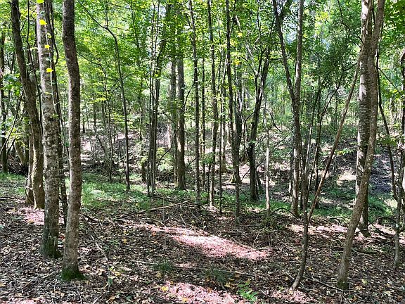 3rd image of 0 County Road 7
