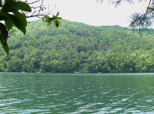 LOT 41 Indian Lake Rd, Topton, NC 28781