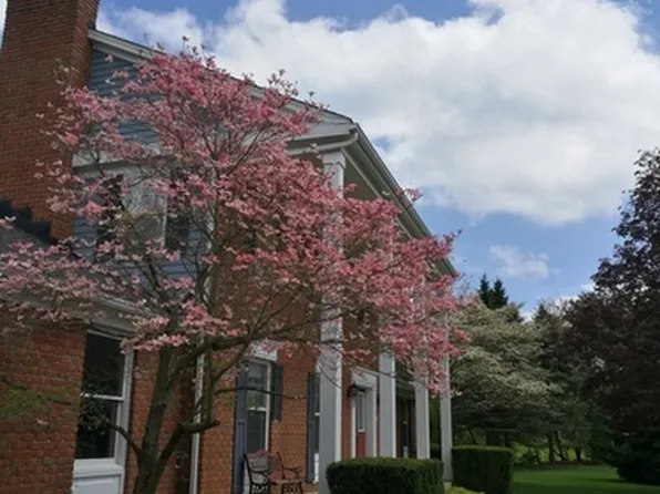 (undisclosed Address), Canton, OH 44718