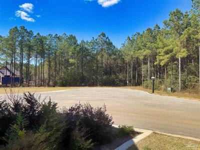 3142 Shearing Rd, Milton, FL, 32571