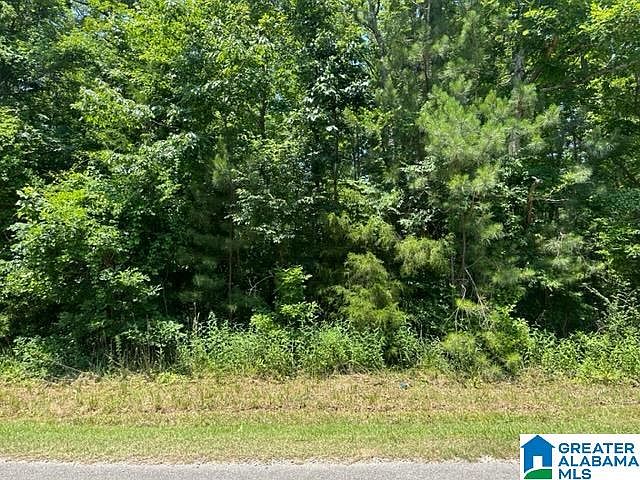 1st image of 32 Oak Forest Cir