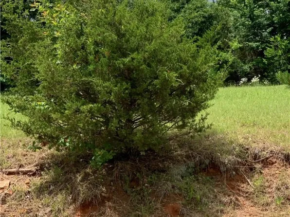 LOT 45 Blockade Vlg, Seligman, MO 65745