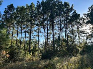 TRACT 11 Fm 230 Lot 11, Lovelady, TX 75851
