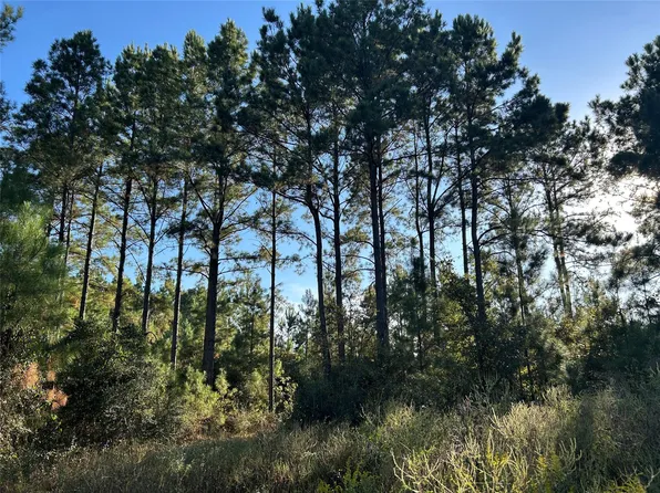 TRACT 11 Fm 230 Lot 11, Lovelady, TX 75851