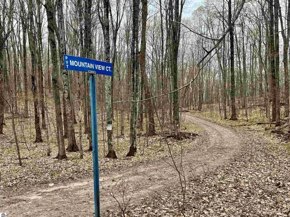 1A Mountain View Ct, Bellaire, MI 49615