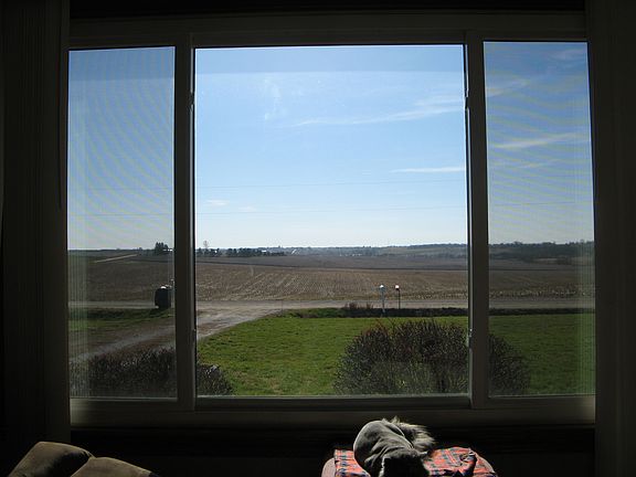 South view out living room window