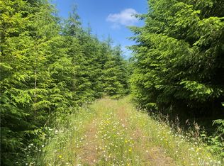 15 Wynooche Valley Rd, Montesano, WA 98563