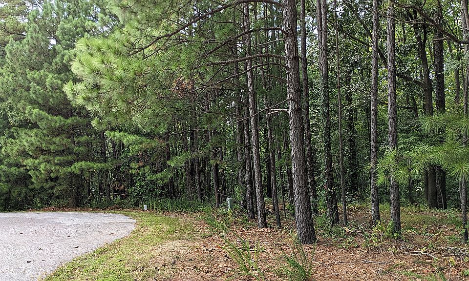 2nd image of 0 Woodstork Cove Rd
