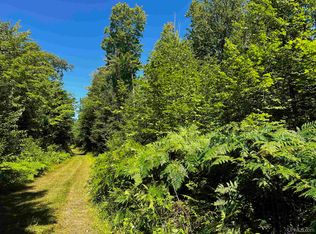 Halverson Rd, Skandia, MI 49885