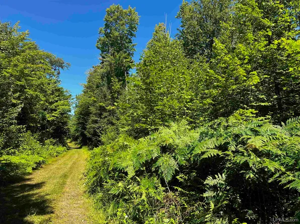 Halverson Rd, Skandia, MI 49885