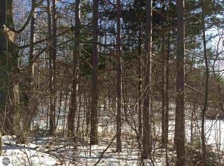 7119 River St, Benzonia, MI 49616