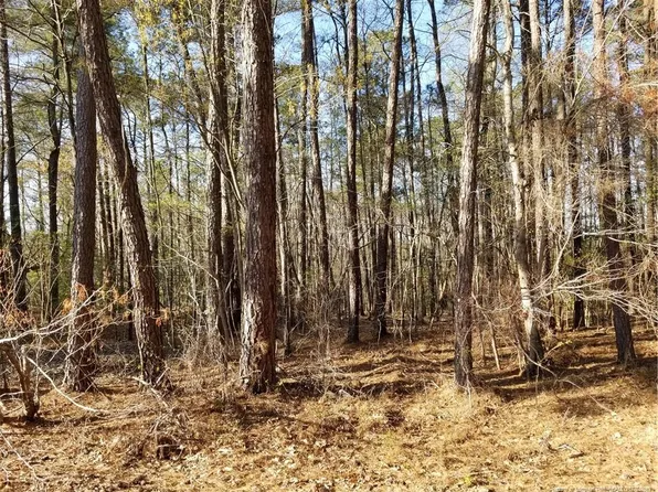 146 Woodwedge Way, Sanford, NC 27332