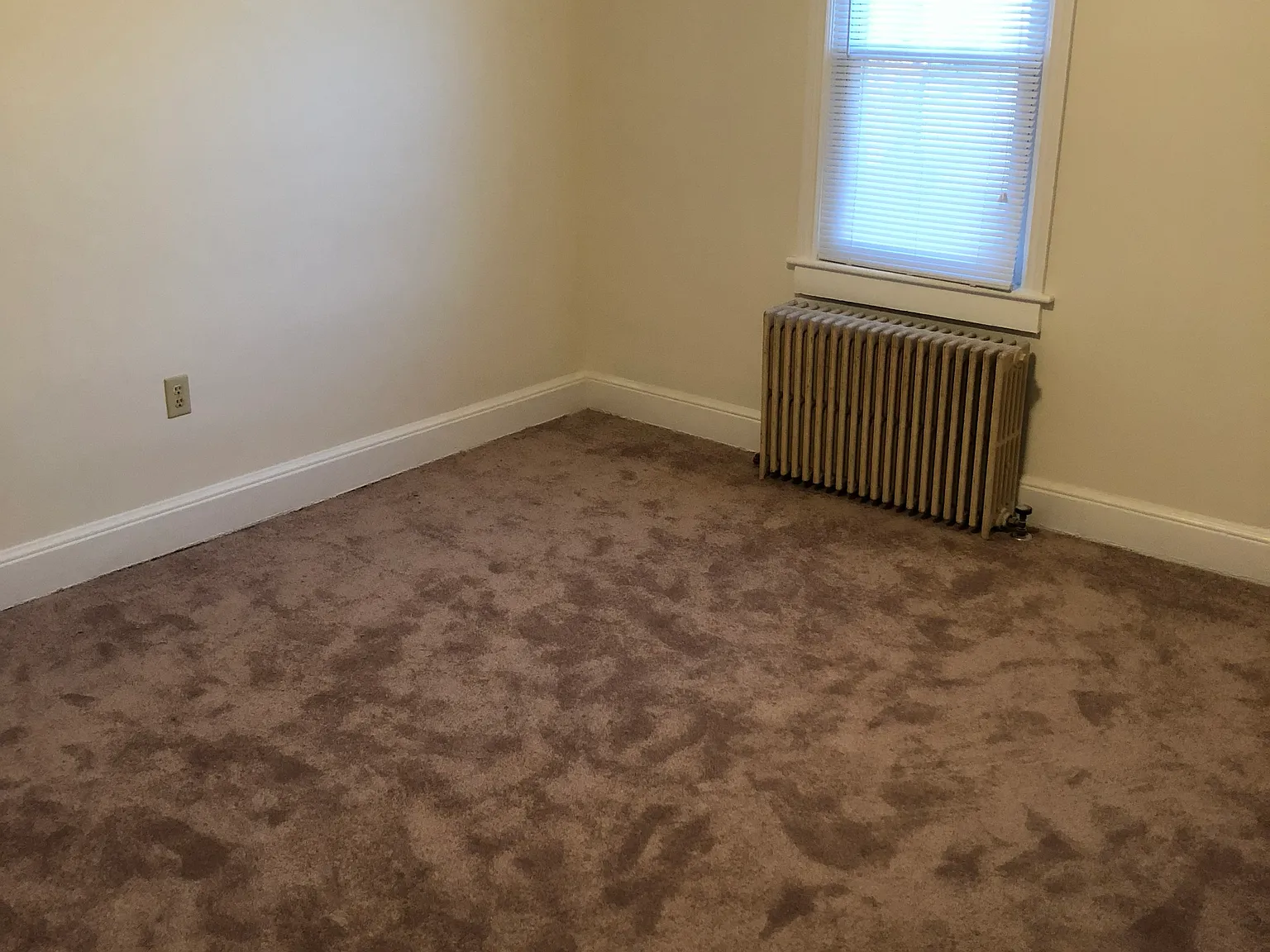 1 bed, $950 — Photo 1