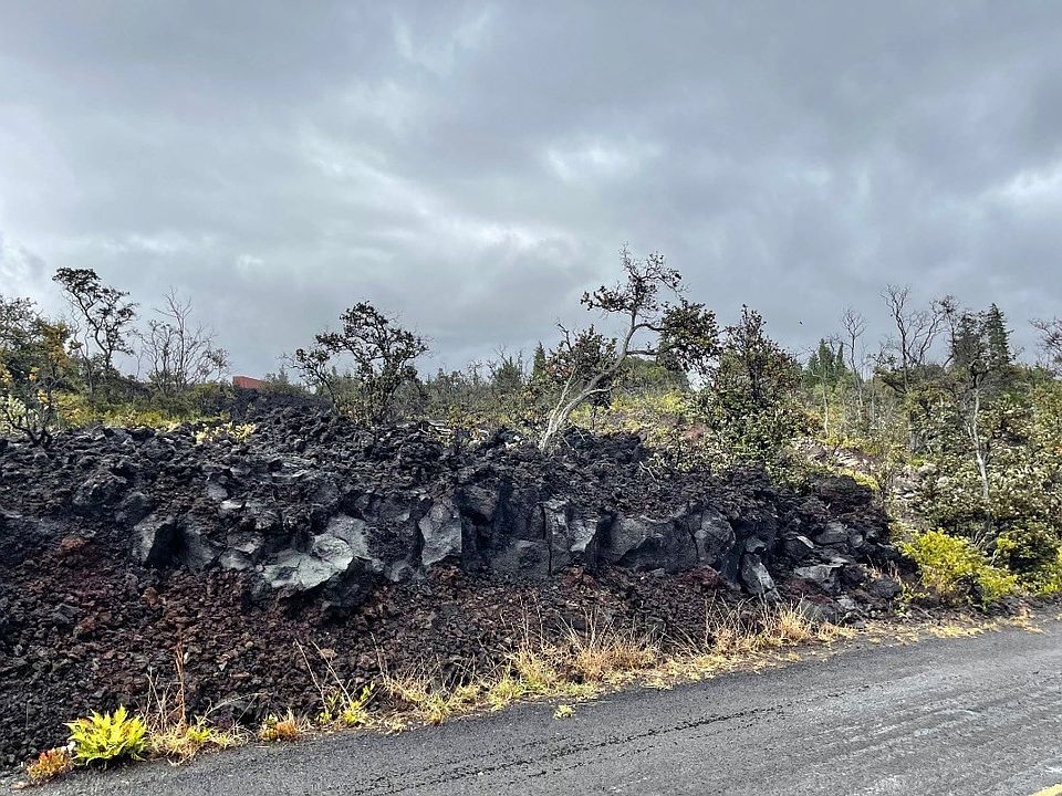 2nd image of Palm Pkwy