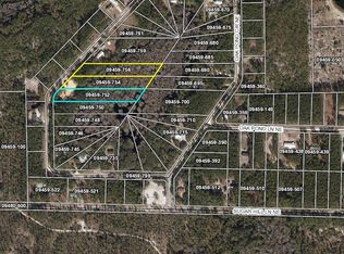 Oak Pond Cir, Steinhatchee, FL 32359