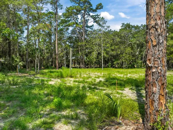 0 TBT NW First St, Steinhatchee, FL 32359