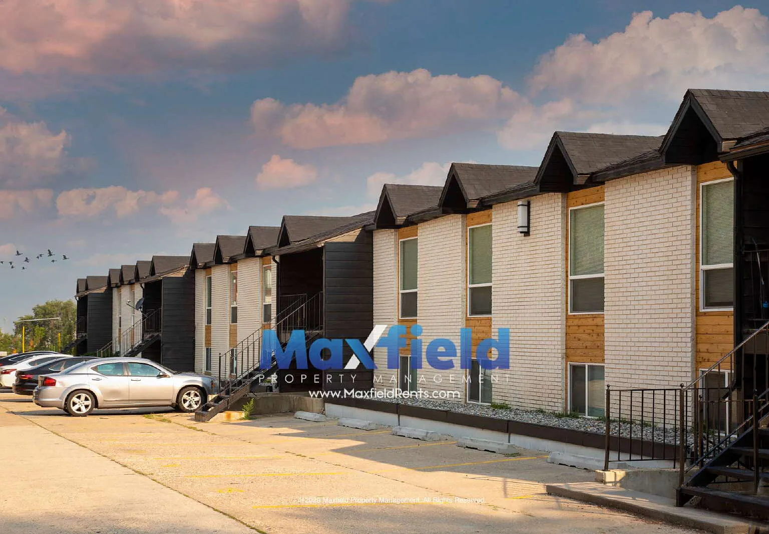2 bed, 1.0 bath, 870 sqft, $1,050 — Photo 4
