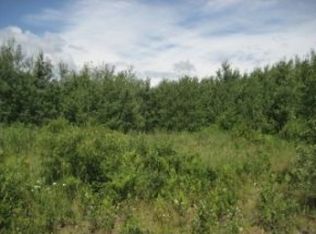 Three Ten Rd, Mercer, WI 54547