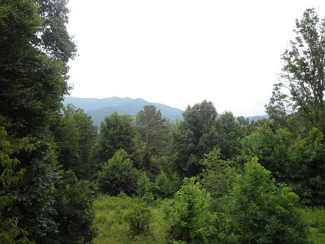 DSC05651