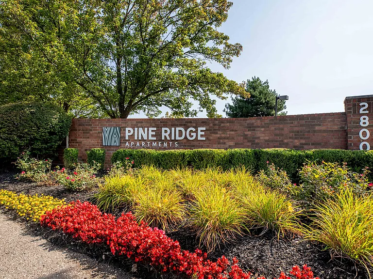 Pine Ridge Apartments — Photo 40