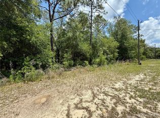 8445 N Foresome Way, Citrus Springs, FL 34434