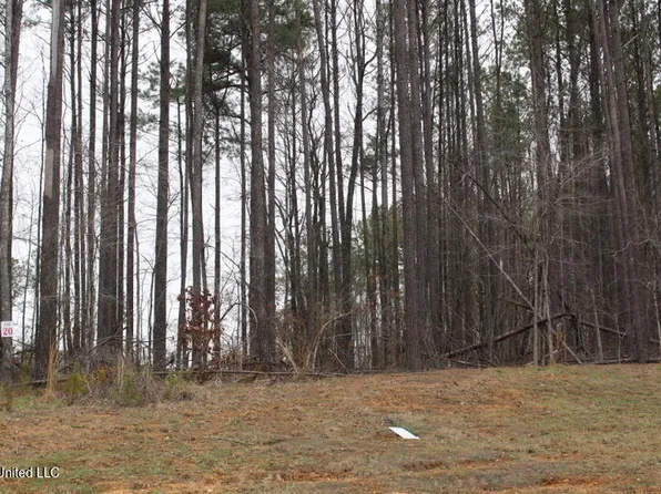 Ella Ln Lot 20, Byhalia, MS 38611