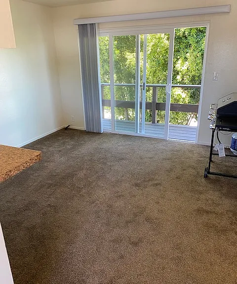 1357 Capitola Rd — Photo 21