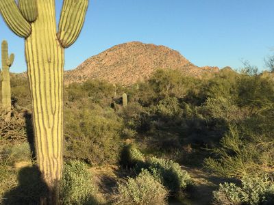 8675 E Yearling Rd, Scottsdale, AZ, 85255