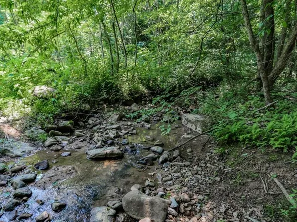 1120 Yellow Springs Rd, Cosby, TN 37722