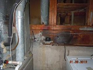 4th image of 431 Tulsa Ave