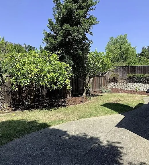 649 Daffodil Dr — Photo 19