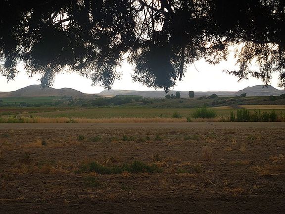 View from front of house.